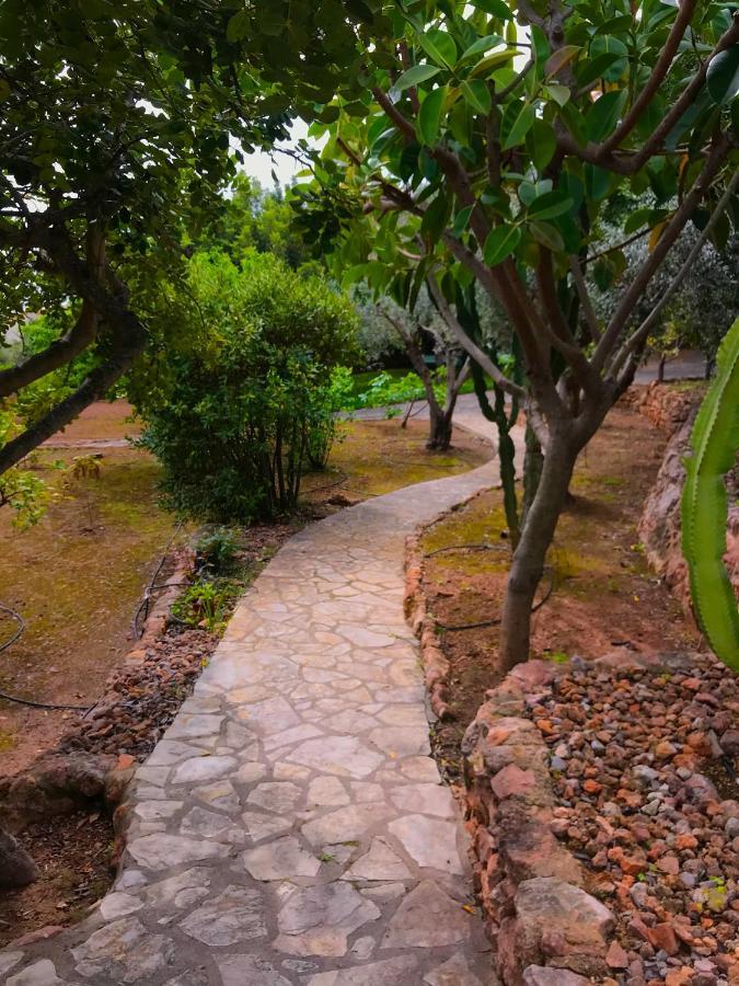 Villa La Torreta Ref 056 Castellón de la Plana Eksteriør bilde